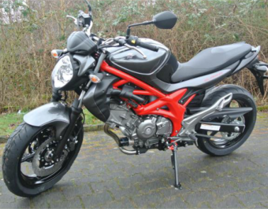 gladius
